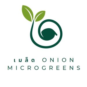 เมล็ด Onion Microgreens 
